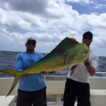newsletter summer-fishing on florida fishing charter