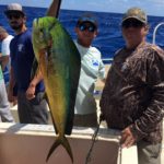 florida fishing charters tuna