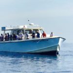 Private Fishing Charters Florida