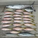 Family Fishing Charters Hypoluxo