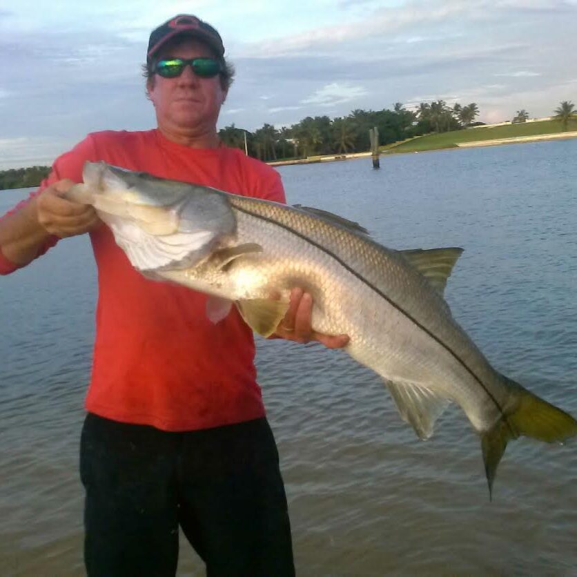 inshore fishing charters florida